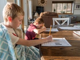 4 Homeschool Tips and Tricks for Beginners