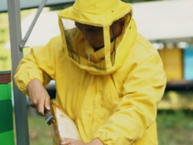 Beyond the Seasons: A Professional’s Look at the Year-Round Pest Cycle