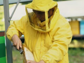 Beyond the Seasons: A Professional’s Look at the Year-Round Pest Cycle