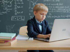 The Role of Trade Schools in Reducing Education Inequality