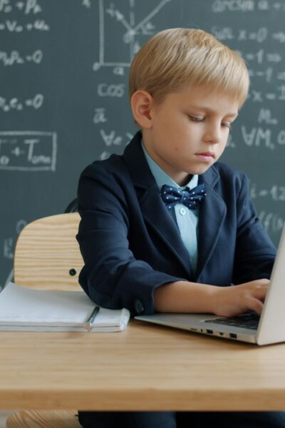 The Role of Trade Schools in Reducing Education Inequality