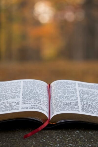 Bible Study
