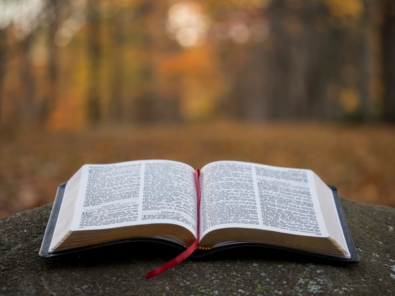 Bible Study